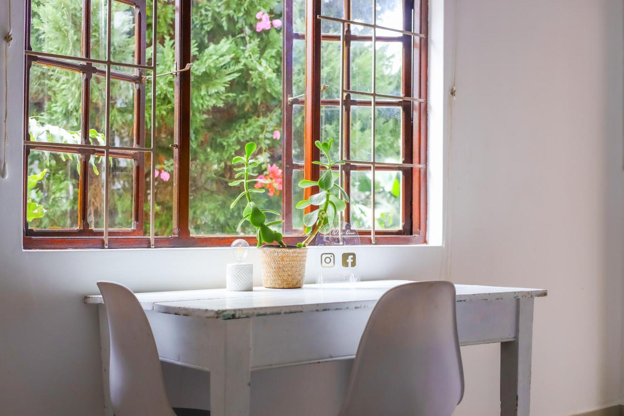 The Blue Door B&B East London Εξωτερικό φωτογραφία